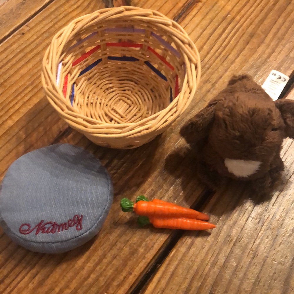“Nutmeg” American Girl Bunny, Basket, Cushion & Carrots